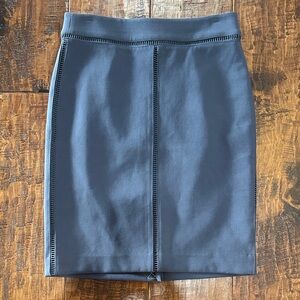 Ann Taylor Pencil Skirt with trim detail